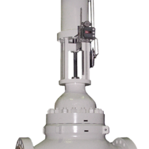 Valvitalia Globe Cage Control Valve LTG3 Series Straight-way, versatile control valve
