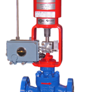 Valvitalia Globe Control Valve LTG1 Series Straight-way, single seat control valve