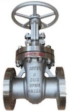 Arita SGRA3 Gate Valve Flanged Gate Valve Trim 8