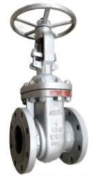 Arita GG0101T1 Gate Valve Flanged Gate Valve Trim 8