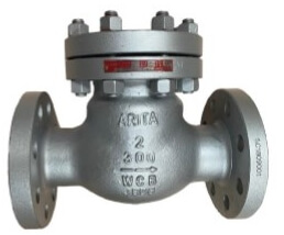 Arita SC0301T1 Swing Check Valve Flanged Swing Check Valve Trim 8