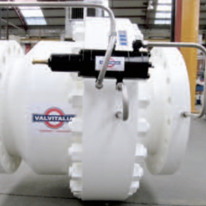 Surge Relief Valves